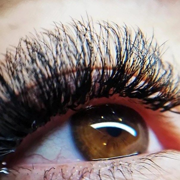 Close-up van Russian volume wimperextensions bij een bruin oog